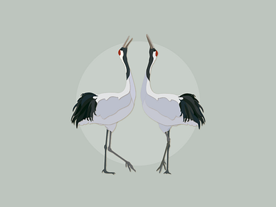 Japanese Crane illustrator works