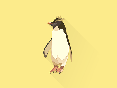 Rockhopper Penguin illustrator works