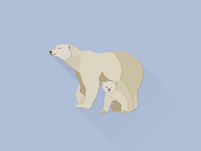 Polar Bear illustrator works