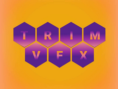 Trim VFX logo design logo typography