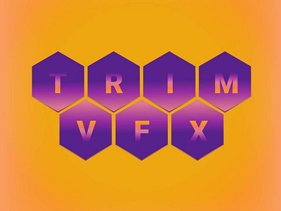 Trim VFX logo