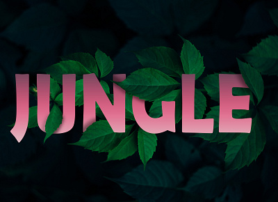 Jungle design design illustration typography