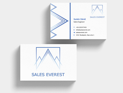 Business card blue blue and white branding business business card design businesscard design illustration logo vector