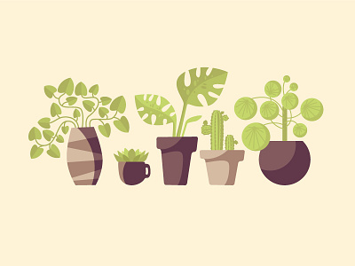 Set of houseplants in pots. 