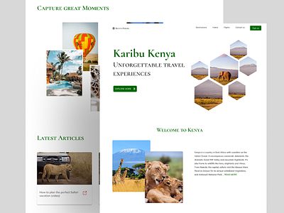 Travel Agency Website adventure travel travel agency ux website