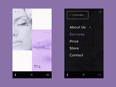 Beauty salon — concept mobile