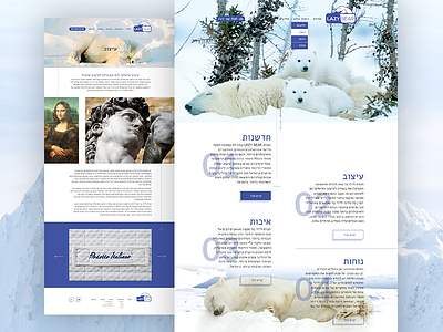 Lazybear bear design experience mattress polar ui ux web website