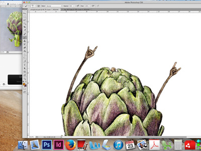 Artichoke drawing #2