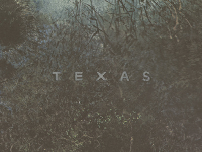 Texas graphic design hand drawn states texas typography united states