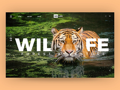 WildLife Web Hero app design application bakery app design branding design food app illustration logo ui ui ux design ux vector web webdesign website design