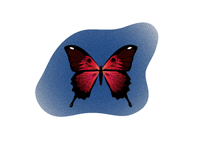 Butterfly illustration illustration