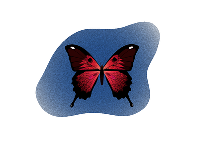 Butterfly illustration