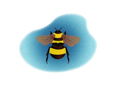 Bees illustration illustration