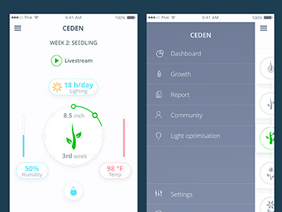 Grown app animation design interface mobile ui ux