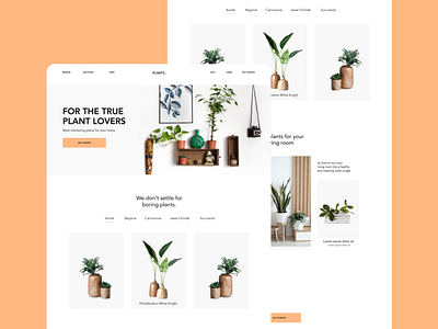 Landing Page Design for Plants Shop