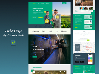 PAK TANI cattleman dailyui plant ui uitrending ux