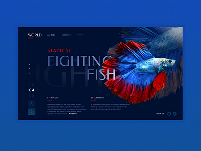 mainpage fish design figma mainpage ui