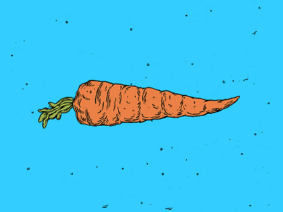 Carrot carrot illustration