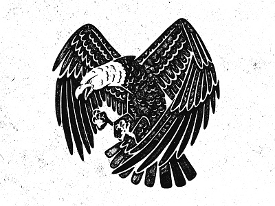Eagle eagle illustration
