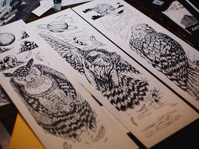 Element birds brush and ink deck element hawk illustration osprey owl skateboard