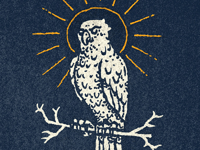 Hawk bird hawk illustration