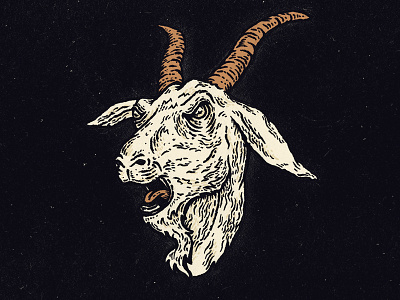 Goat goat illustration pen and ink