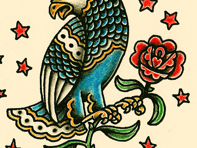 Eagle eagle flash illustration pen and ink rose stars tattoo watercolor