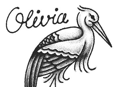 Olivia illustration lettering pen and ink stork yondrflash