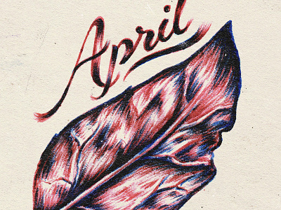 April ball point pen illustration leaf lettering