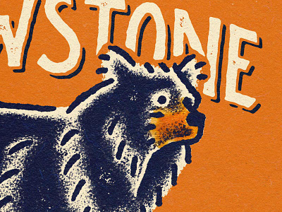 Yellowstone bear illustration lettering national parks yellowstone