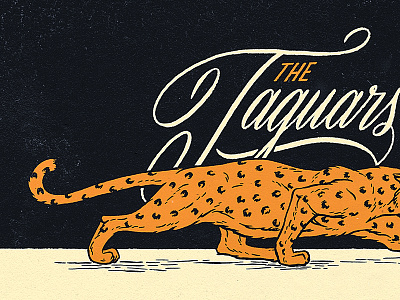 The Jaguars cat illustration jaguar lettering