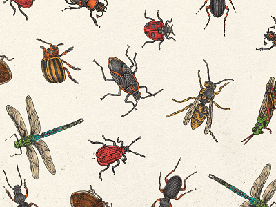 Insects