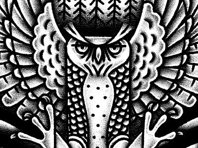 Alighting Wisdom illustration owl pen and ink yondr flash
