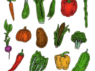 Veggies editorial food illustration vegetables