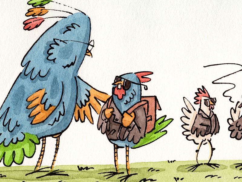 Rare bird dribbble