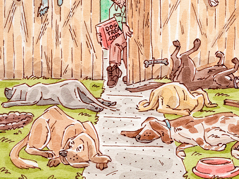 Doggie treats
