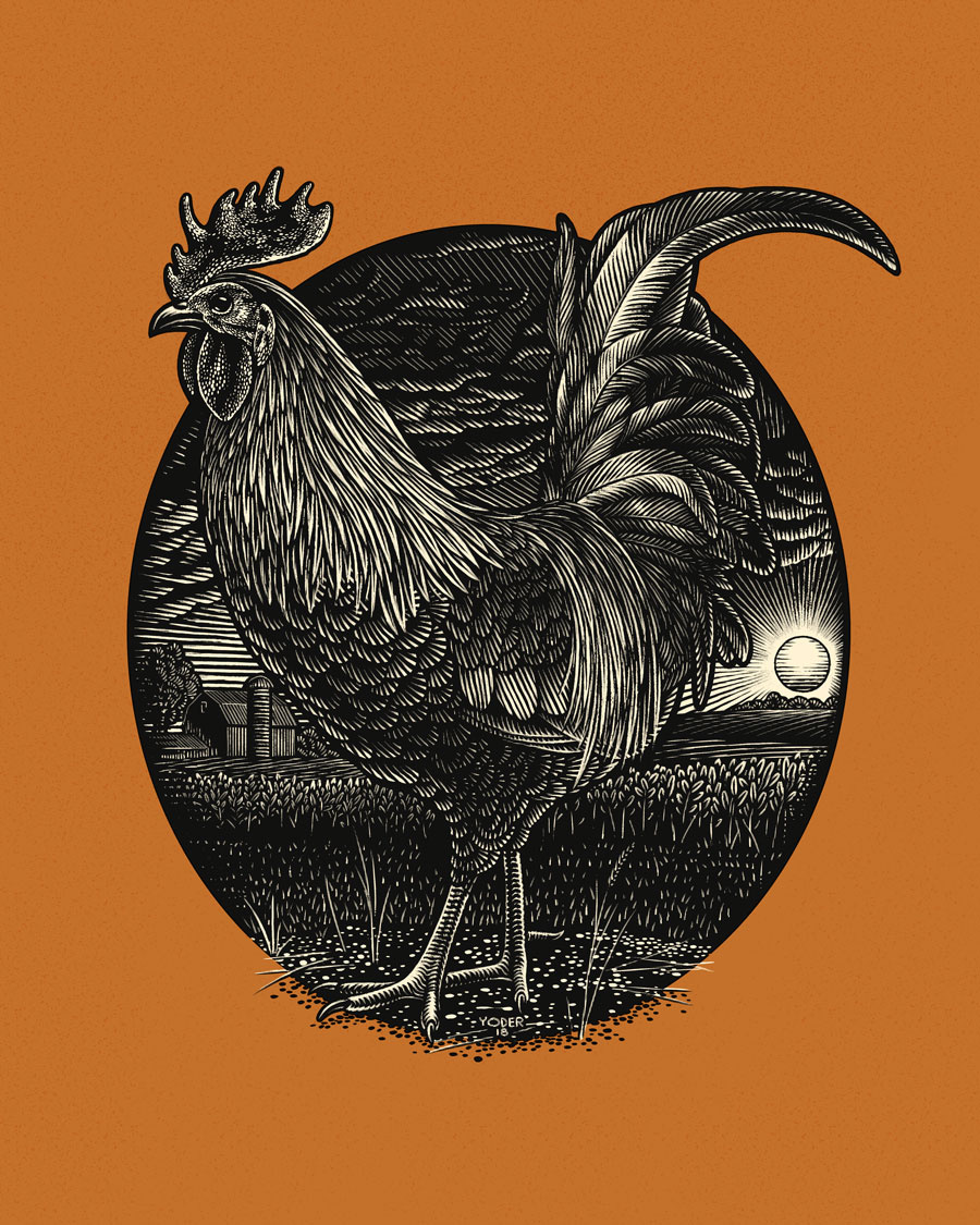 Dribbble - rooster.jpg by Yondr Studio