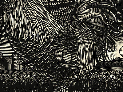 Rooster chicken digital engraving farm illustration nature pen and ink rooster scratchboard woodcut