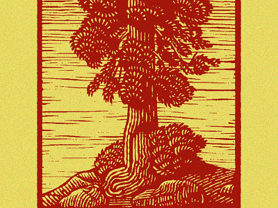 Tree digital editorial engraving etching illustration nature outdoors scratchboard tree trees