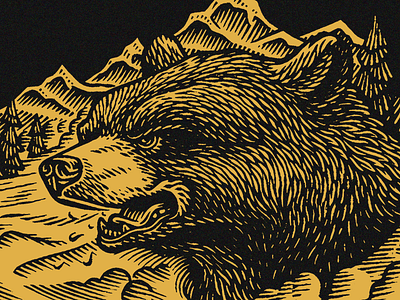 Bear bear digital engraving illustration nature outdoors scratchboard wildlife woodcut
