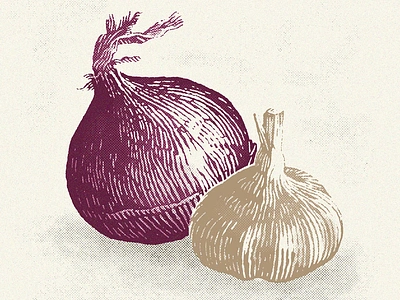 Onion Garlic Insta cooking culinary engraving etching food garlic illustration illustrations ingredients onion pen pen and ink restaurant vegetable vegetables