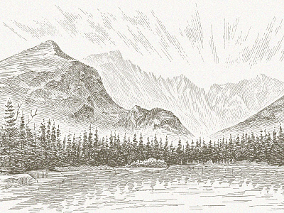 Longs Peak forest landscape line line art line work linework mountains nature outdoors pen and ink traditional trees