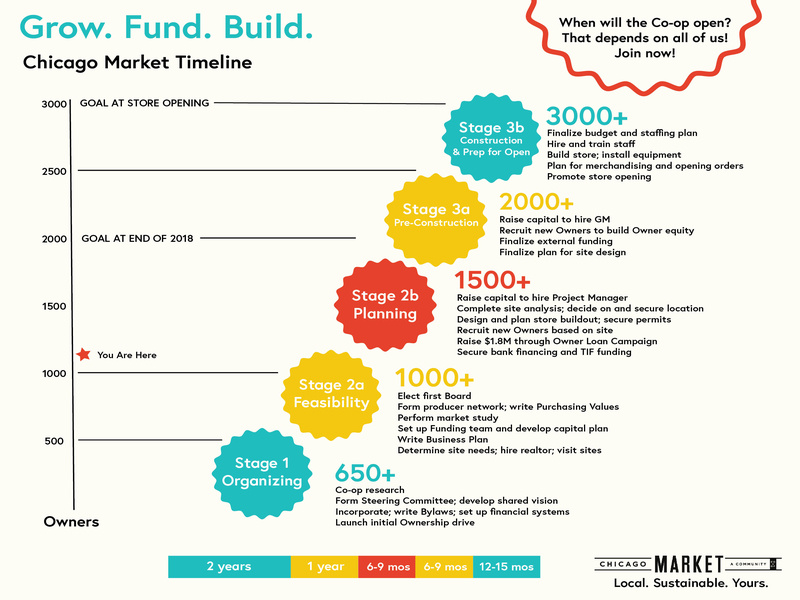 Chicago Market Timeline infographic timeline
