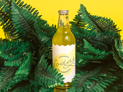 Sodas drink packaging plants refresh sodas summer tropical typography