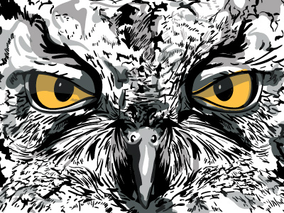 Kotori band beak bird drawing eyes face great horned illustration kansas kotori owl vector wichita