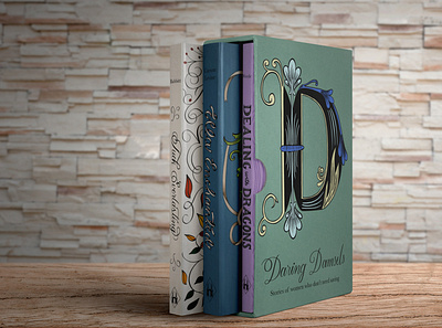 Daring Damsels Book Set book cover book design graphic design illustration procreate typography