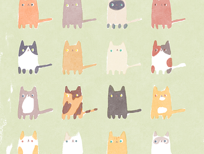 Cats cat illustration