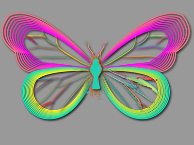 butterfly digital illustrator romansgallery t shirts