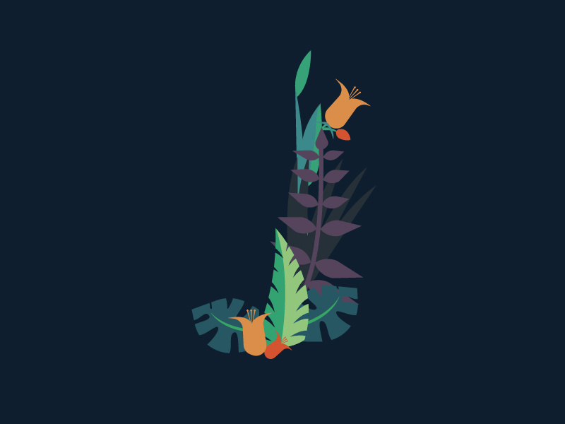 In the jungle 36days 36daysoftype illustration flora fauna flowers forest