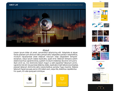 Sunset Live design ui web design